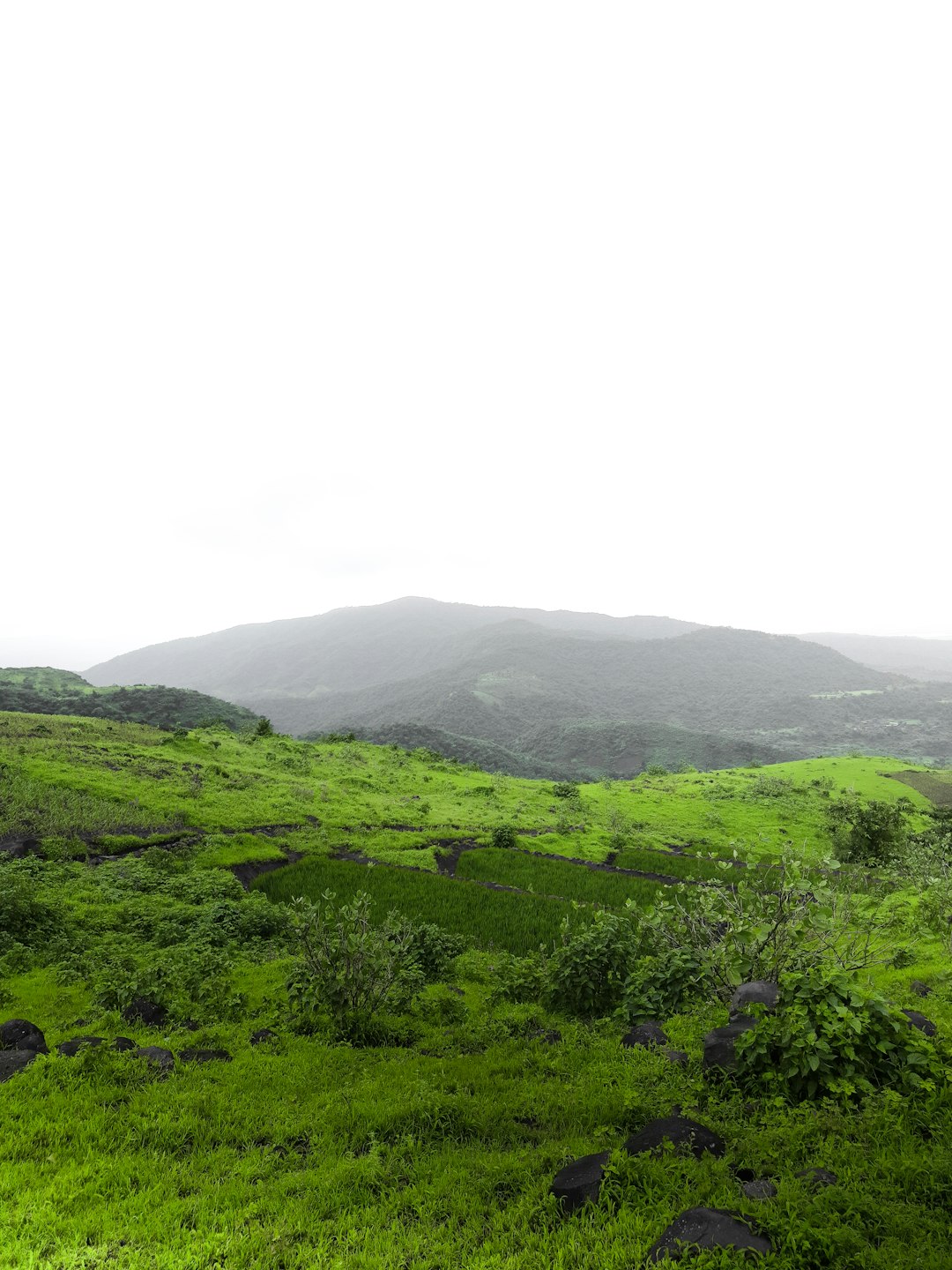 Aurora Borealis in Norway